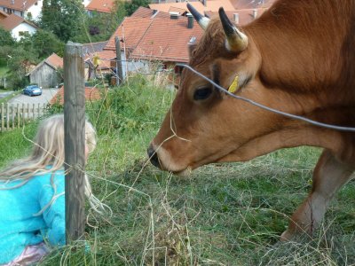 Auf Du und Du mit der Kuh in Bad Kohlgrub